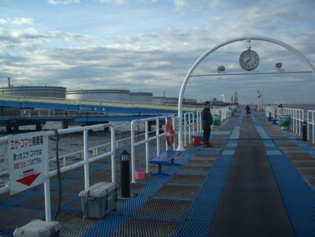 オリジナルメーカー海づり公園(市原市海づり施設) 釣果