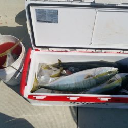 遊漁船 ニライカナイ 釣果