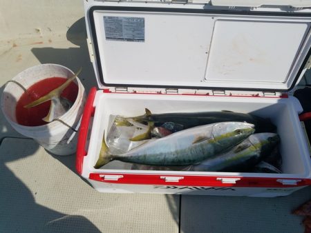 遊漁船　ニライカナイ 釣果