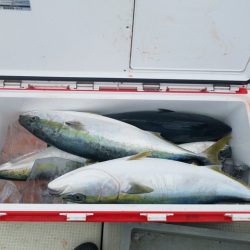遊漁船 ニライカナイ 釣果