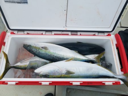 遊漁船 ニライカナイ 釣果