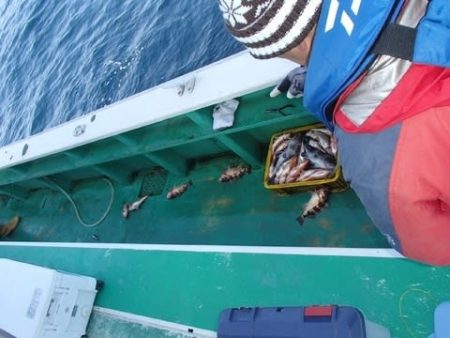 第二むつ漁丸 釣果