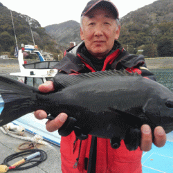 宮島丸 釣果