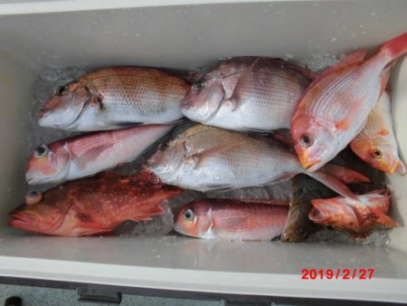 大進丸(新潟) 釣果