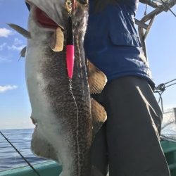 広進丸 釣果