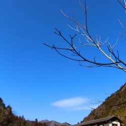 小菅トラウトガーデン 釣果