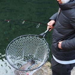 小菅トラウトガーデン 釣果