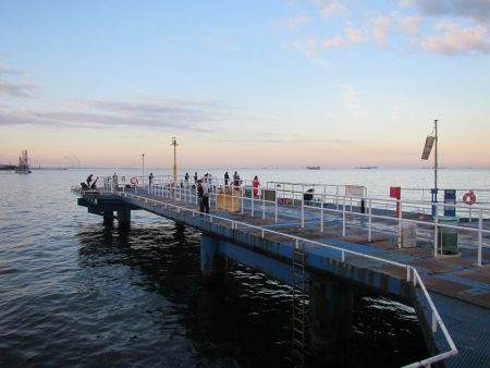 オリジナルメーカー海づり公園(市原市海づり施設) 釣果