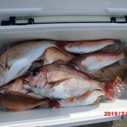 大進丸(新潟) 釣果