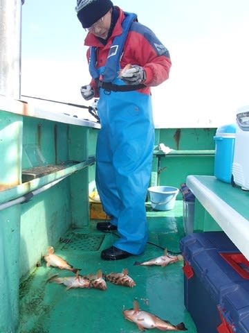 第二むつ漁丸 釣果