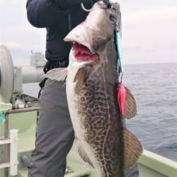 気仙沼　つり丸 釣果