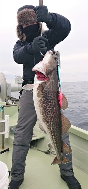 気仙沼　つり丸 釣果