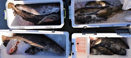 気仙沼　つり丸 釣果