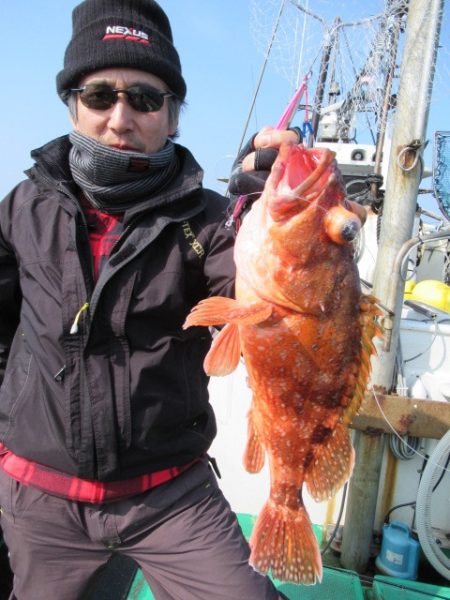 真祐丸 (しんゆうまる) 釣果