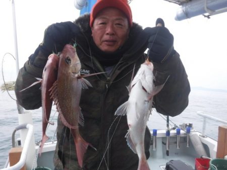 遊漁船 幸友丸 釣果