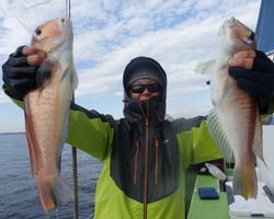 久里浜黒川本家 釣果