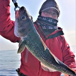 気仙沼　つり丸 釣果