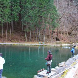 小菅トラウトガーデン 釣果