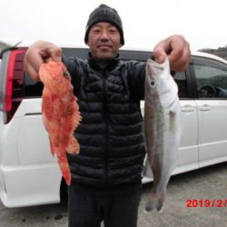 大進丸(新潟) 釣果