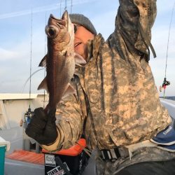 へいみつ丸 釣果