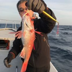 へいみつ丸 釣果