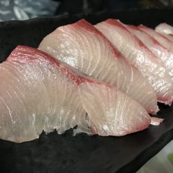 寿裕 (YOSHIHIRO) 釣果