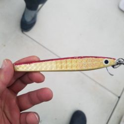 遊漁船 ニライカナイ 釣果