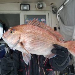 遊漁船 ニライカナイ 釣果