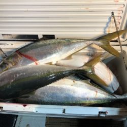 幸風(さちかぜ) 釣果