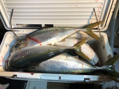 幸風（さちかぜ） 釣果