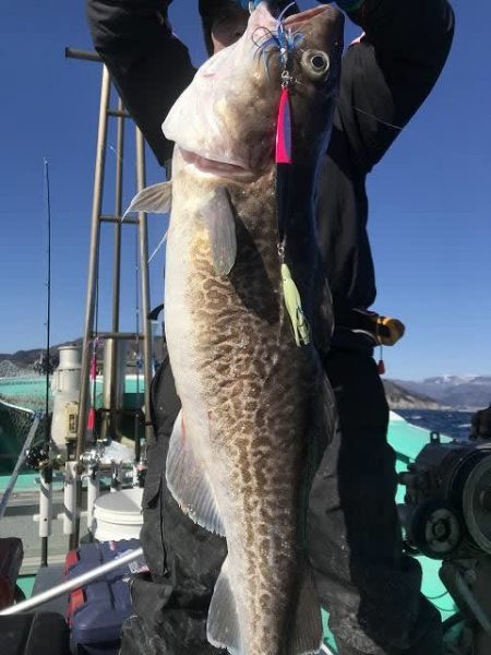 広進丸 釣果