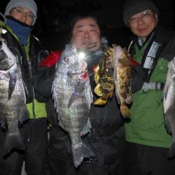 TOPGUN名古屋 釣果