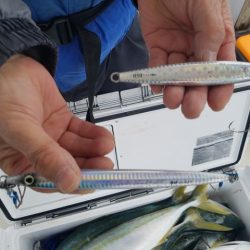 遊漁船 ニライカナイ 釣果