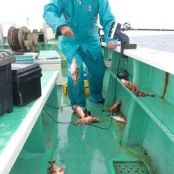 第二むつ漁丸 釣果