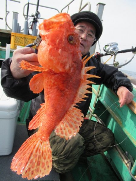 真祐丸 (しんゆうまる) 釣果