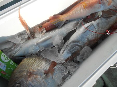 こうゆう丸 釣果