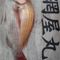 網屋丸 釣果