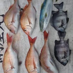 網屋丸 釣果