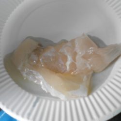 こうゆう丸 釣果