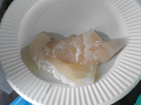 こうゆう丸 釣果