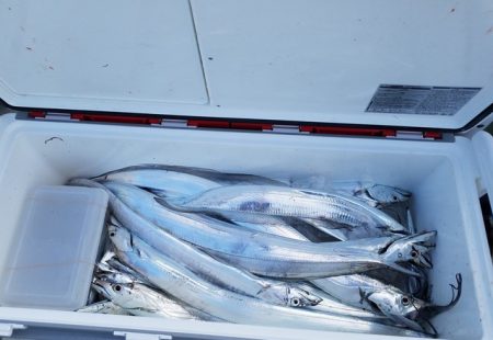 遊漁船　ニライカナイ 釣果