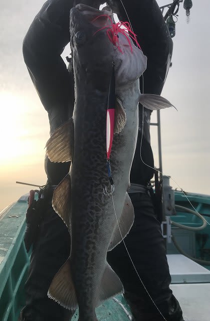 広進丸 釣果