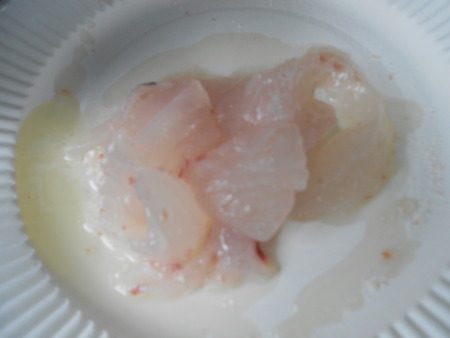 こうゆう丸 釣果