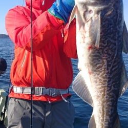 気仙沼　つり丸 釣果