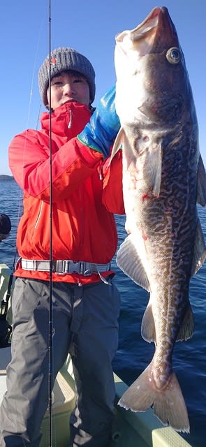 気仙沼　つり丸 釣果