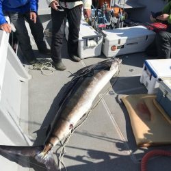 へいみつ丸 釣果