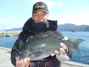 春日丸 釣果