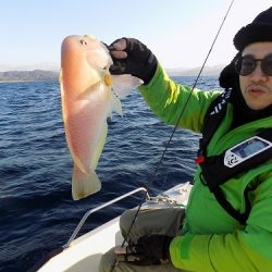 フィッシングボート空風(そらかぜ) 釣果