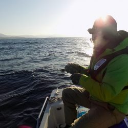 フィッシングボート空風(そらかぜ) 釣果