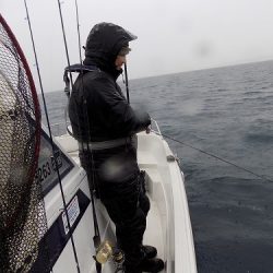 フィッシングボート空風(そらかぜ) 釣果